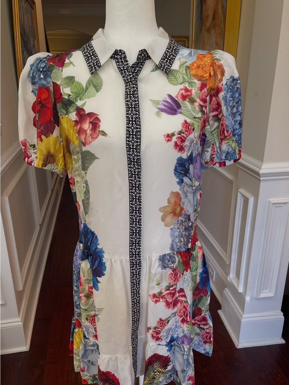 Alice & Olivia Claire placed  Floral Tiered Mini Shirtdress in Garden Brunch
